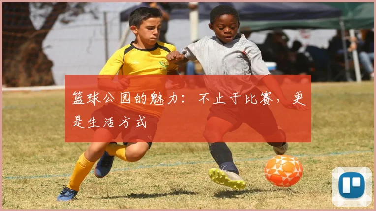篮球公园的魅力:不止于比赛,更是生活方式