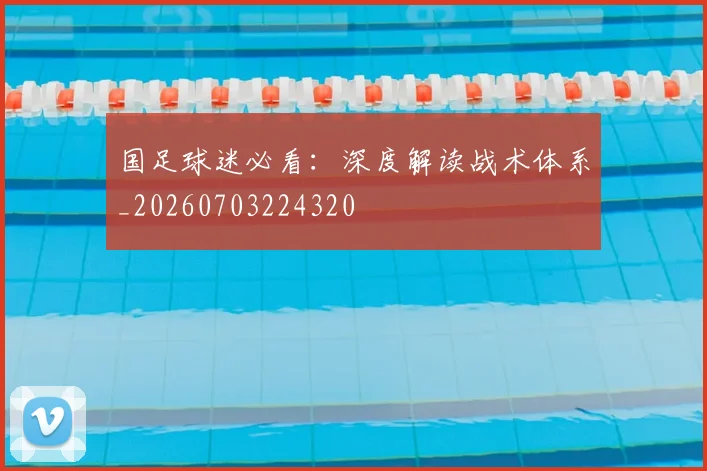 国足球迷必看：深度解读战术体系_20260703224320