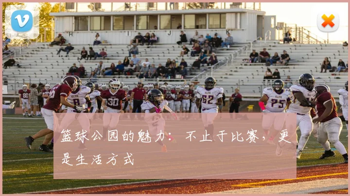 篮球公园的魅力:不止于比赛,更是生活方式
